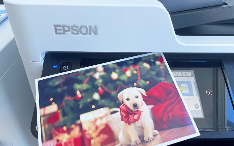 Epson printer with a printed photo of a labrador puppy wearing a Christmas bow